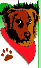 Scooper Doggie